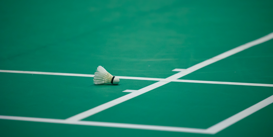 Badminton Training Routines On a Half-Court