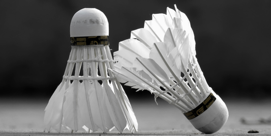 Badminton for Beginners: Understanding the Court, Scoring & Basics