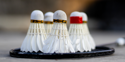 Badminton Rules Explained for Beginners